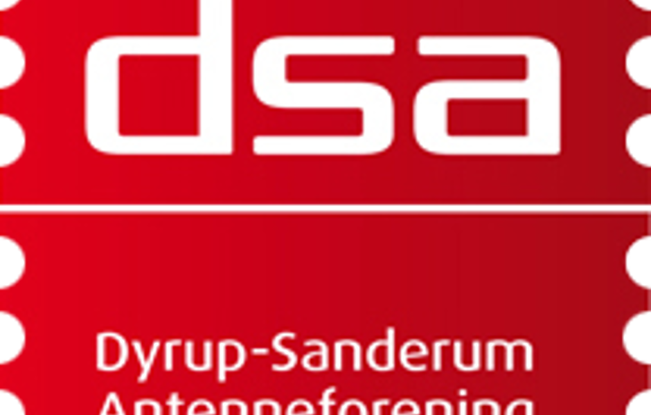 dsa-logo-footer.png